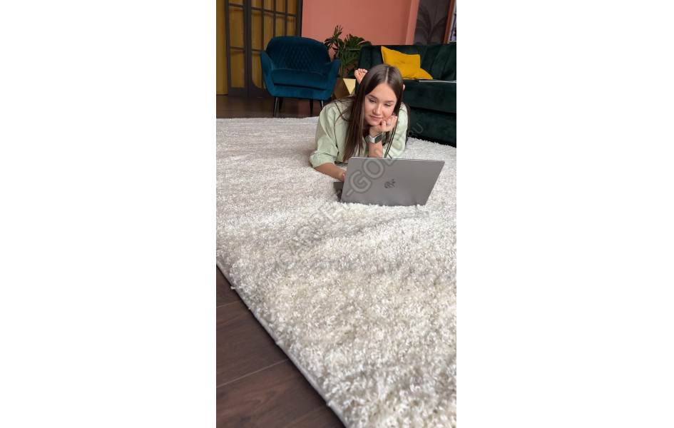 Ковер с длинным ворсом 42300_48222